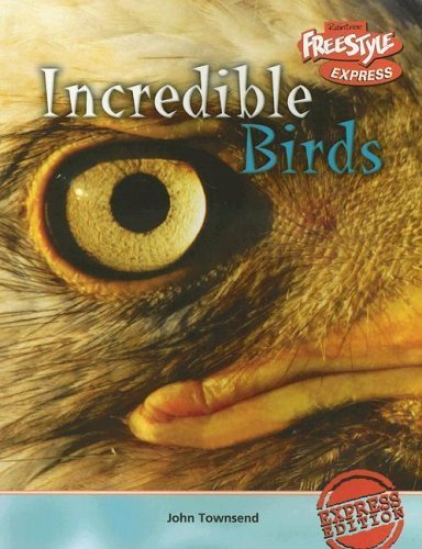 9781410917201: Incredible Birds (Incredible Creatures/freestyle Express)