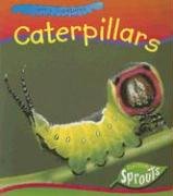 Caterpillars (Creepy Creatures) (9781410917720) by Chappelow, Sarah