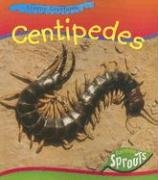 Stock image for Centipedes (Creepy Creatures) for sale by Redux Books