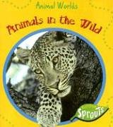 Stock image for Animals in the Wild for sale by Better World Books