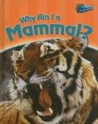 Stock image for Why Am I a Mammal? for sale by ThriftBooks-Dallas
