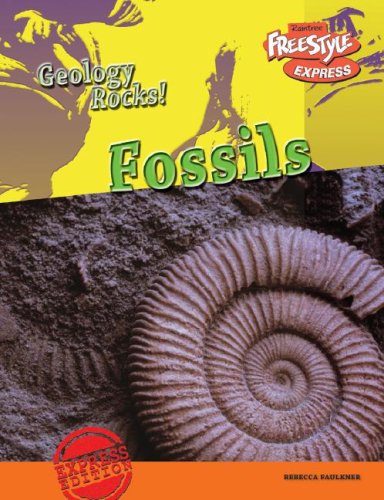 Stock image for Fossils for sale by ThriftBooks-Atlanta