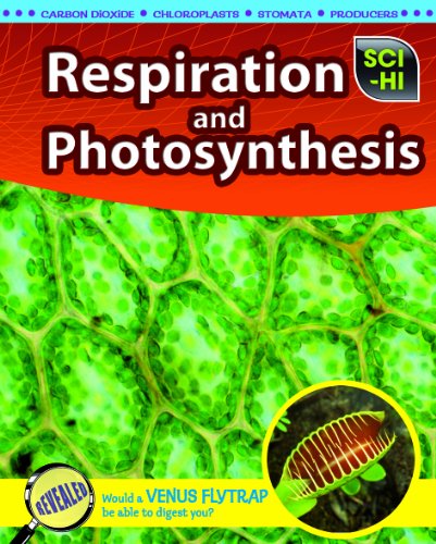 Beispielbild fr Respiration and Photosynthesis zum Verkauf von Better World Books