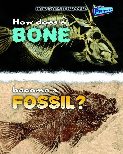 Imagen de archivo de How Does a Bone Become a Fossil? a la venta por Better World Books