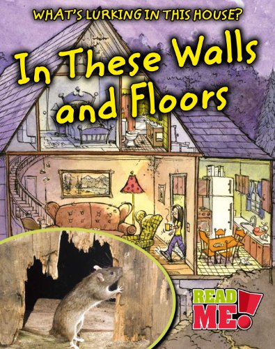 9781410937278: In These Walls and Floors (What's Lurking in This House?)