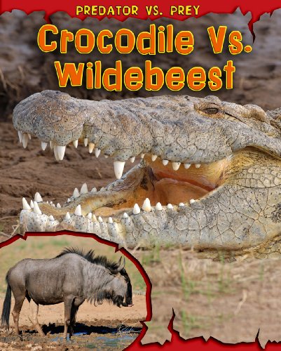 Beispielbild fr Crocodile vs. Wildebeest (Read Me!: Predator Vs. Prey, 1) zum Verkauf von Books of the Smoky Mountains