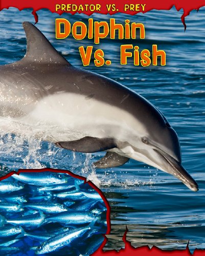 Beispielbild fr Dolphin vs. Fish (Predator Vs. Prey) zum Verkauf von Wonder Book