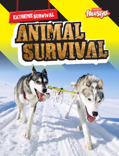 Beispielbild fr Animal Survival zum Verkauf von Better World Books