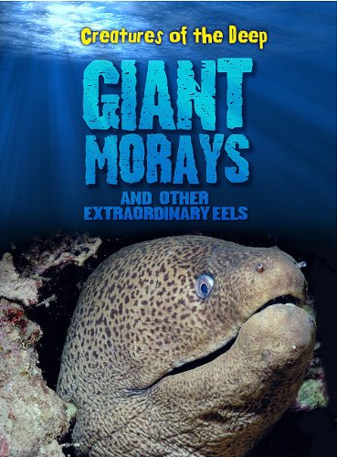 Beispielbild fr Giant Morays and Other Extraordinary Eels zum Verkauf von Better World Books
