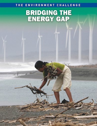 Stock image for Bridging The Energy Gap (The Environment Challenge) for sale by Wonder Book