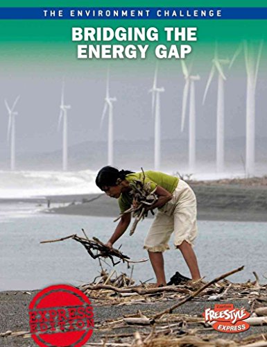 9781410943040: Bridging the Energy Gap (Raintree Freestyle: The Environment Challenge)