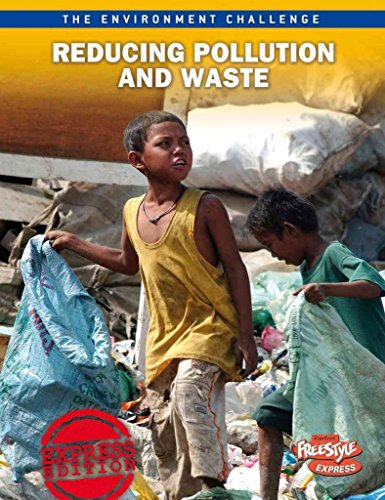 Imagen de archivo de Reducing Pollution and Waste a la venta por Better World Books