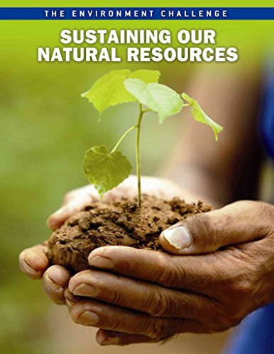 Sustaining Our Natural Resources (Raintree Express Edition, Level P: The Environment Challenge) (9781410943286) by Green, Jen
