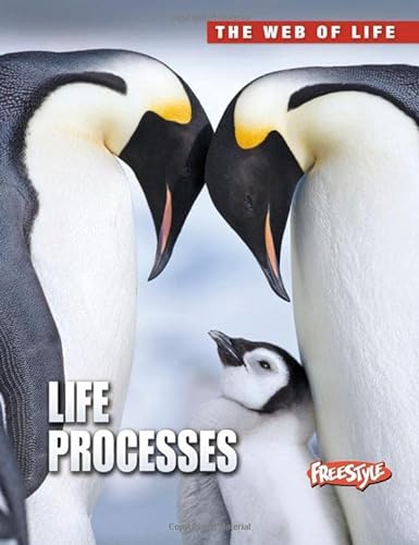 9781410943965: Life Processes (Raintree Freestyle: The Web of Life)