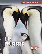 9781410944030: Life Processes (The Web of Life)