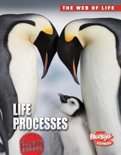 9781410944306: Life Processes (The Web of Life)