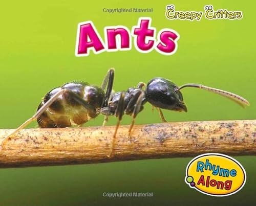 Beispielbild fr Ants (Creepy Critters) zum Verkauf von Front Cover Books