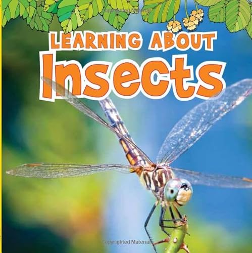 Beispielbild fr Learning About Insects (The Natural World) zum Verkauf von Wonder Book