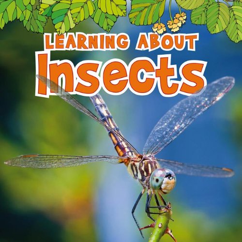 Stock image for Learning About Insects for sale by Blackwell's