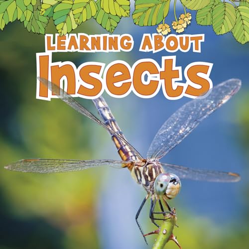 9781410954084: Learning About Insects (The Natural World)