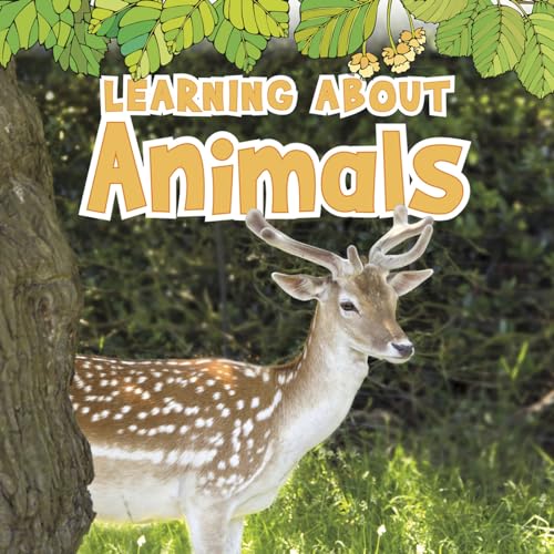 Imagen de archivo de Learning About Animals (The Natural World) a la venta por SecondSale