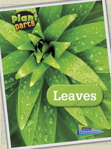 9781410954275: Leaves (Plant parts)