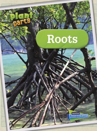 9781410962812: Roots