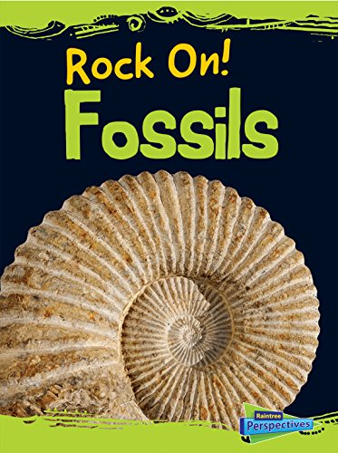 9781410981400: Fossils (Raintree Perspectives: Rock On!)