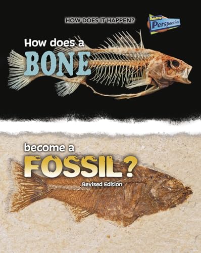 9781410985293: How Does a Bone Become a Fossil?