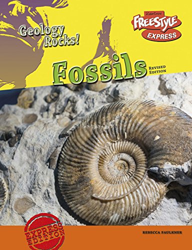 9781410986344: Fossils: Express Edition