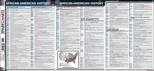 9781411400542: African-American History SparkCharts SparkNotes History and Social Sciences Series