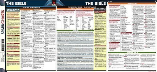9781411400672: the-bible