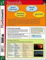 9781411401655: Spark Charts Flash Charts Spanish (Flash Kids Flash Charts)