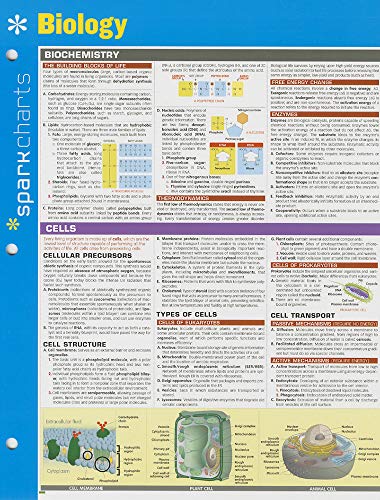 Imagen de archivo de Biology SparkCharts (Volume 6) a la venta por Reliant Bookstore