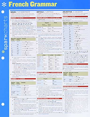 Stock image for French Grammar SparkCharts (Volume 21) for sale by Goodwill of Colorado