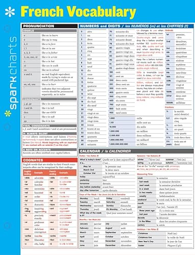 Beispielbild fr Sparkcharts French Vocabulary (Sparknotes Sparkcharts) zum Verkauf von WeBuyBooks