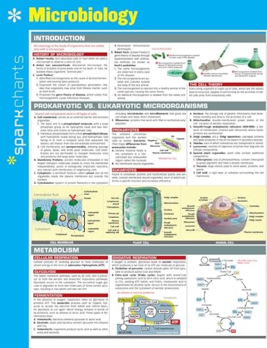 Imagen de archivo de Microbiology SparkCharts (Volume 42) a la venta por Reliant Bookstore