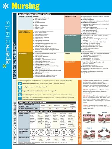 Imagen de archivo de Nursing SparkCharts (Volume 47) a la venta por HPB Inc.