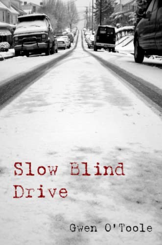 9781411614178: Slow Blind Drive
