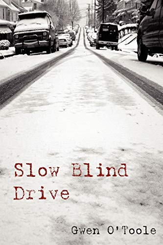 9781411614178: Slow Blind Drive