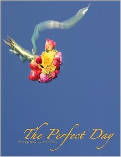 The Perfect Day (9781411625563) by Amy Ellis