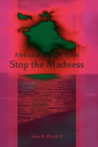 Beispielbild fr African American Youth: Stop the Madness zum Verkauf von Ergodebooks