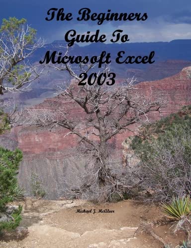 The Beginners Guide to Microsoft Excel 2003 (9781411674370) by Michael McAleer