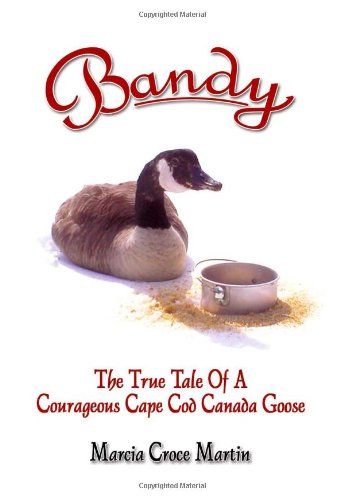 Beispielbild fr Bandy: The True Tale of a Courageous Cape Cod Canada Goose zum Verkauf von AwesomeBooks