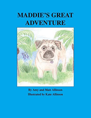 Stock image for Maddies Great Adventure for sale by Ebooksweb