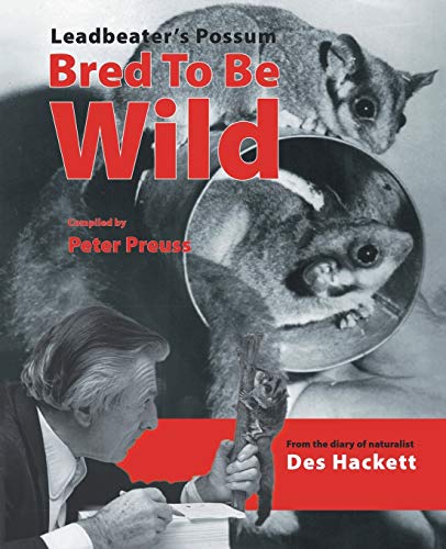 Stock image for Leadbetter's Possum: Bred To Be Wild for sale by Lucky's Textbooks