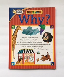 Stock image for KIDS ASK WHY?.BY ACTIVE MINDS for sale by Gulf Coast Books
