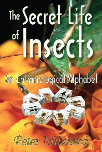 9781412810111: The Secret Life of Insects: An Entomological Alphabet