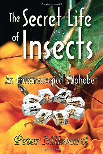 Stock image for The Secret Life of Insects: An Entomological Alphabet for sale by Books From California