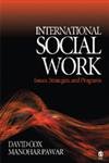 Beispielbild fr International Social Work: Issues, Strategies, and Programs zum Verkauf von ThriftBooks-Atlanta